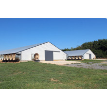 Prefab Light Steel Structure Poultry House (SPT001)